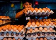 Harga Cabai, Telur Ayam, dan Beras Terpantau di PIHPS Nasional.