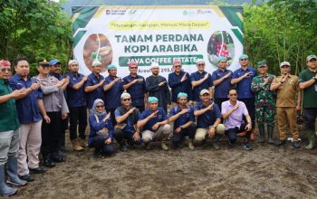 PTPN I Regional V Tanam Perdana Kopi Arabika di Bondowoso, Dukung Republik Kopi