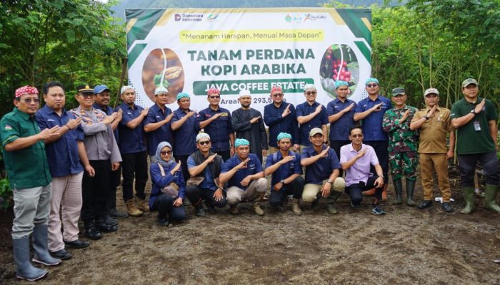 PTPN I Regional V Tanam Perdana Kopi Arabika di Bondowoso, Dukung Republik Kopi