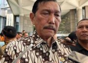 Luhut Buka Suara Soal Izin Bandara IMIP Morowali Khusus Domestik.