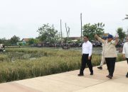 Swasembada Pangan Jadi Sorotan, Pidato Prabowo Dinilai Pro-Petani namun Diperdebatkan