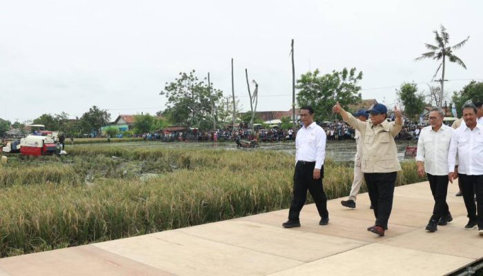 Swasembada Pangan Jadi Sorotan, Pidato Prabowo Dinilai Pro-Petani namun Diperdebatkan