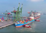 Arus Petikemas Meningkat, PT Terminal Teluk Lamong Perkuat Peran Logistik Nasional