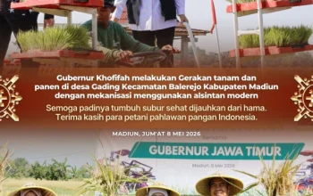 Gubernur Khofifah Dorong Percepatan Tanam untuk Perkuat Kedaulatan Pangan Nasional