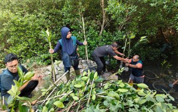 TPS Bersama Masyarakat Tanam 3.000 Mangrove di Kawasan Pesisir Asem Rowo
