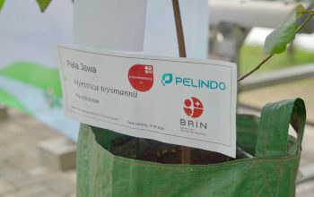 Kolaborasi dengan BRIN, Terminal Teluk Lamong Perkuat Konservasi Lingkungan di Kawasan Pelabuhan