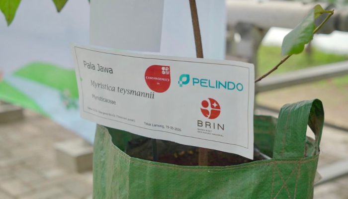 Kolaborasi dengan BRIN, Terminal Teluk Lamong Perkuat Konservasi Lingkungan di Kawasan Pelabuhan