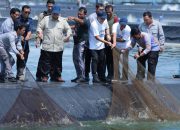 Panen Raya Udang di Kebumen, Produksi Capai 40 Ton per Hektare