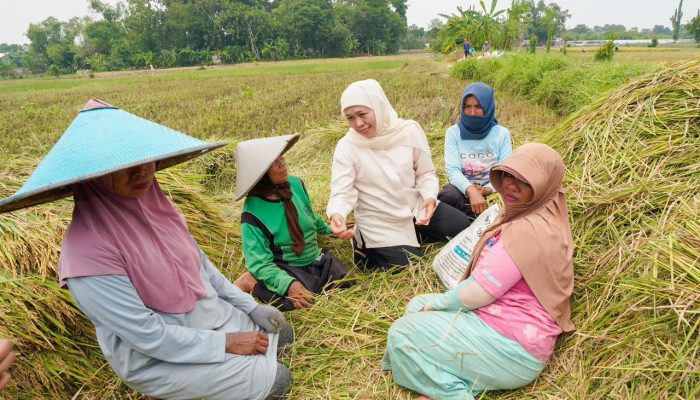 Gubernur Khofifah: Kenaikan Produksi Padi Jatim di Tengah Tantangan Iklim Bukti Pertanian Tetap Tangguh