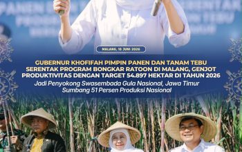 Gubernur Jatim Pimpin Gerakan Panen dan Tanam Tebu Serentak di Malang, Perkuat Posisi Jatim sebagai Lumbung Gula Nasional