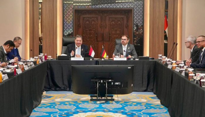 Pasca IEU-CEPA, Jerman Siap Tanam Modal di Sektor Strategis Indonesia