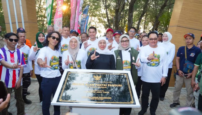 Dalam Empat Tahun, Luas Mangrove Jatim Naik Signifikan Hingga 31 Ribu Hektare