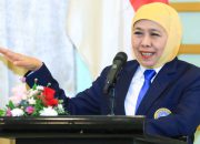Lantik IKA UNAIR Bali, Khofifah Dorong Kolaborasi Kembangkan Wagyu Lokal dan Kurangi Impor Daging