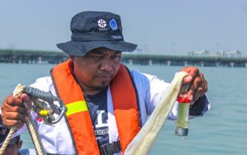 TTL dan BRIN Kolaborasi Petakan Keanekaragaman Hayati Laut Kawasan Teluk Lamong