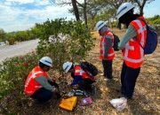 Jaga Biodiversitas Pesisir, Terminal Teluk Lamong Kolaborasi Riset Ekologis dengan BRIN