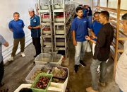 Dorong Ekonomi Nelayan Pesisir, PT Terminal Teluk Lamong Sabet Penghargaan TJSL Kategori Gold
