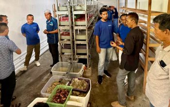 Dorong Ekonomi Nelayan Pesisir, PT Terminal Teluk Lamong Sabet Penghargaan TJSL Kategori Gold